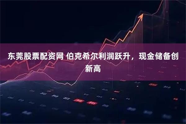东莞股票配资网 伯克希尔利润跃升，现金储备创新高