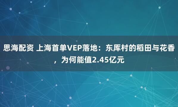 思海配资 上海首单VEP落地：东厍村的稻田与花香，为何能值2.45亿元